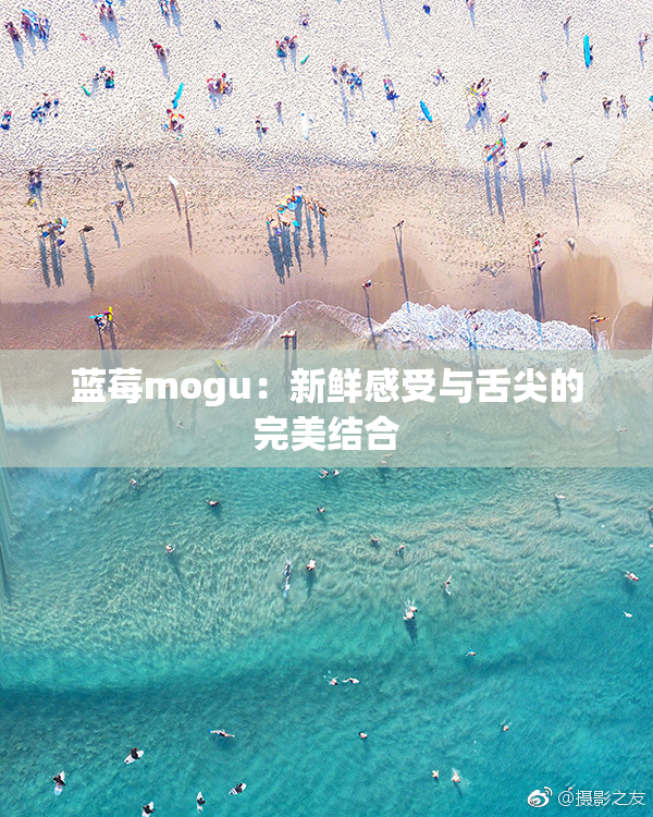蓝莓mogu：新鲜感受与舌尖的完美结合