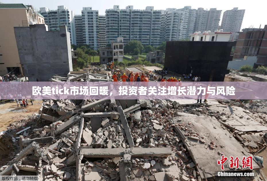 欧美tick市场回暖，投资者关注增长潜力与风险