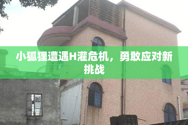 小狐狸遭遇H灌危机，勇敢应对新挑战