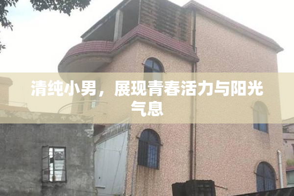 清纯小男，展现青春活力与阳光气息