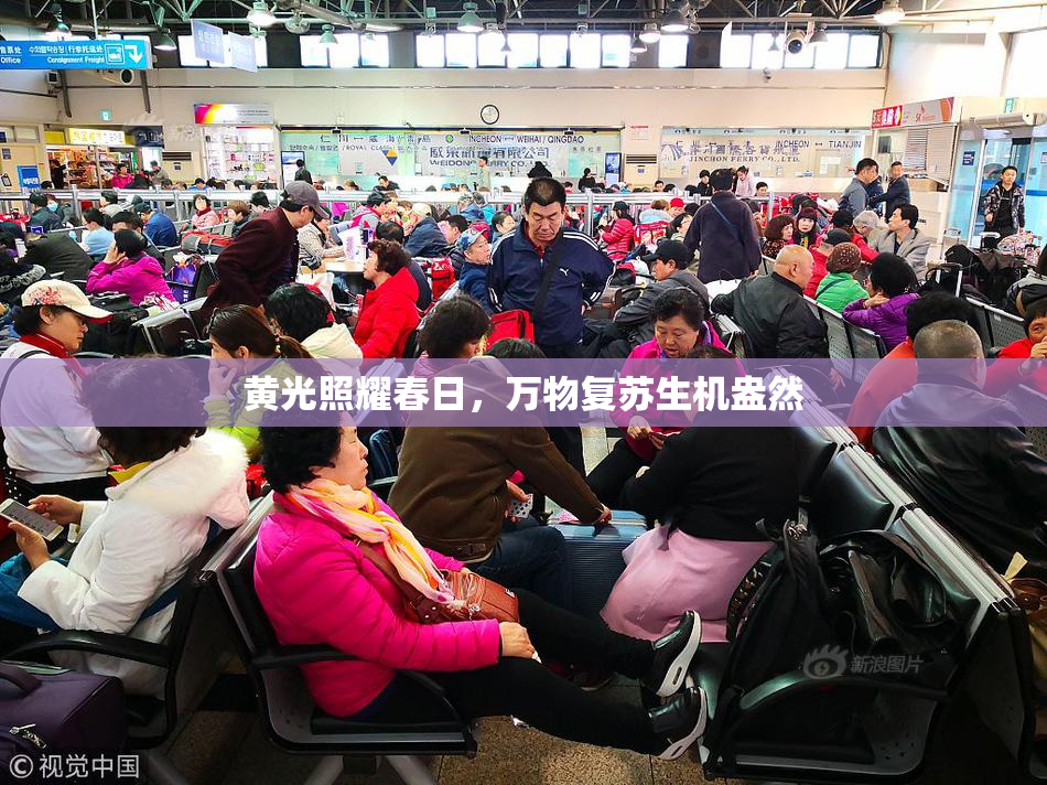 黄光照耀春日，万物复苏生机盎然