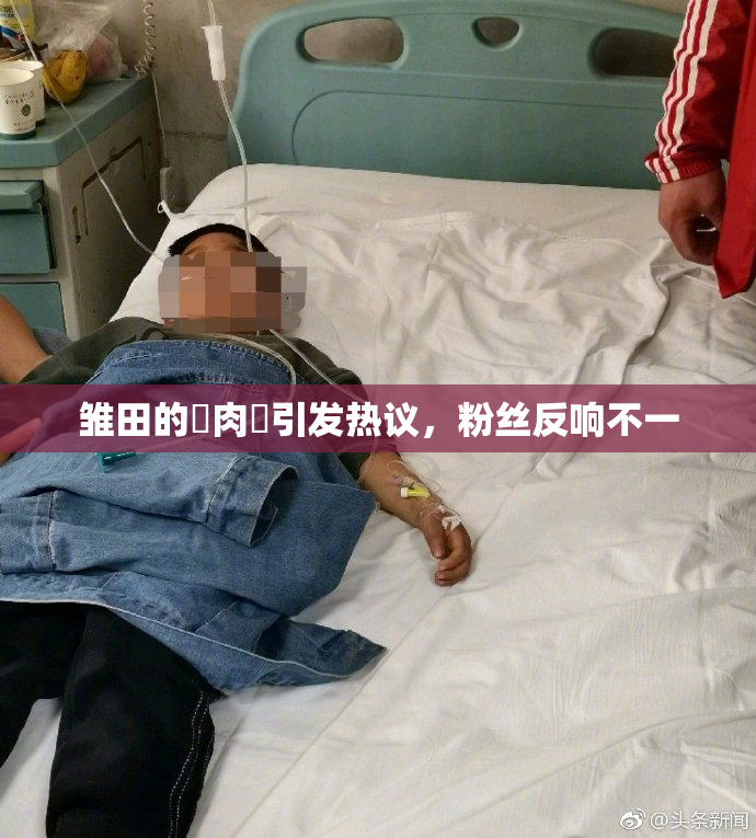 雏田的婬肉泬引发热议，粉丝反响不一