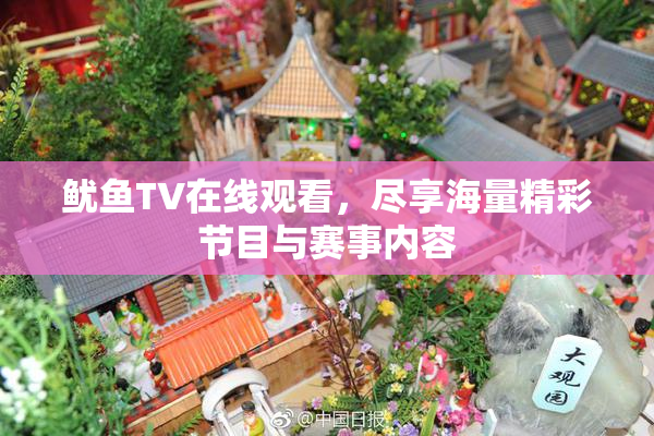 鱿鱼TV在线观看，尽享海量精彩节目与赛事内容