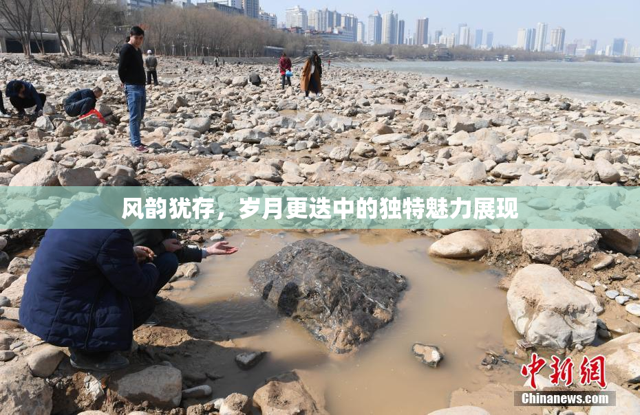 风韵犹存，岁月更迭中的独特魅力展现