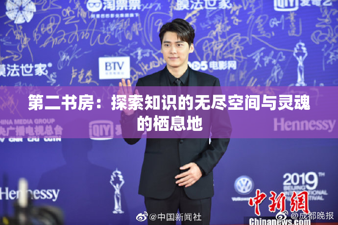 第二书房：探索知识的无尽空间与灵魂的栖息地