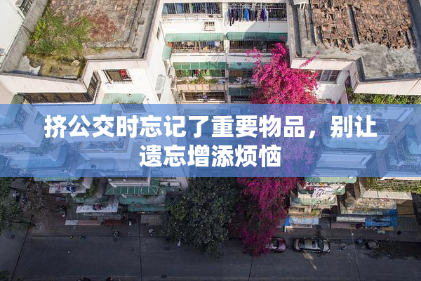 挤公交时忘记了重要物品，别让遗忘增添烦恼