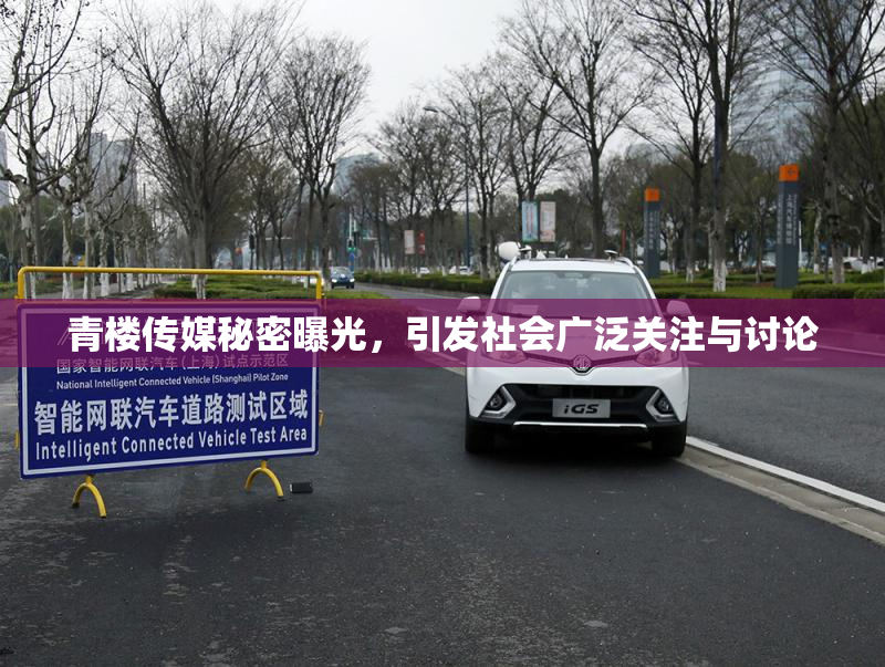 青楼传媒秘密曝光，引发社会广泛关注与讨论