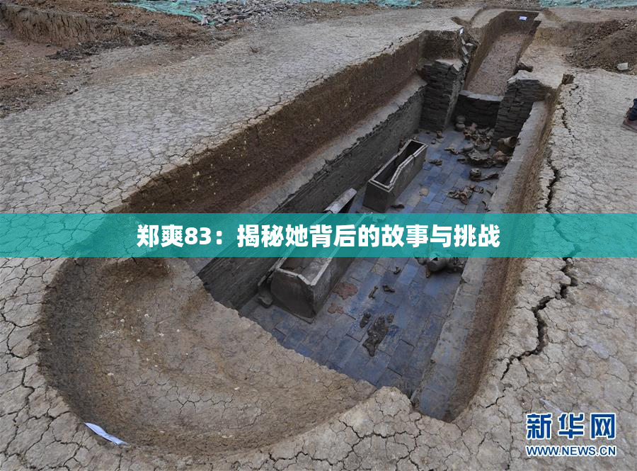 郑爽83：揭秘她背后的故事与挑战