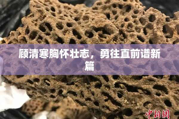 顾清寒胸怀壮志，勇往直前谱新篇
