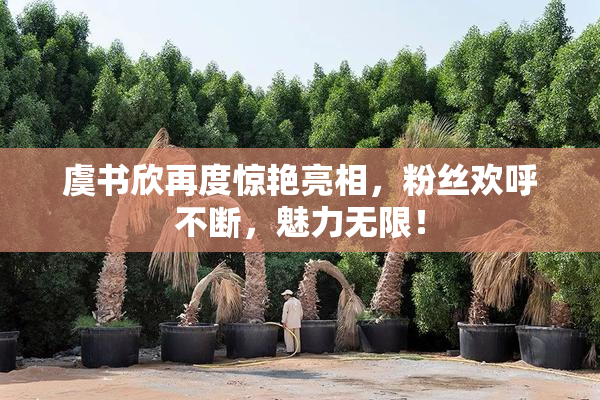 虞书欣再度惊艳亮相，粉丝欢呼不断，魅力无限！