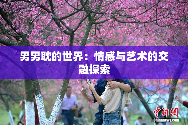 男男耽的世界：情感与艺术的交融探索