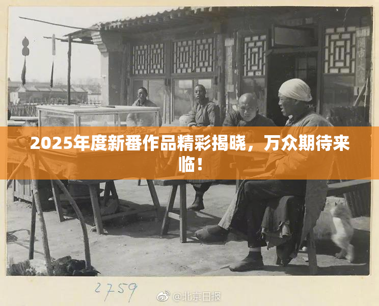 2025年度新番作品精彩揭晓，万众期待来临！