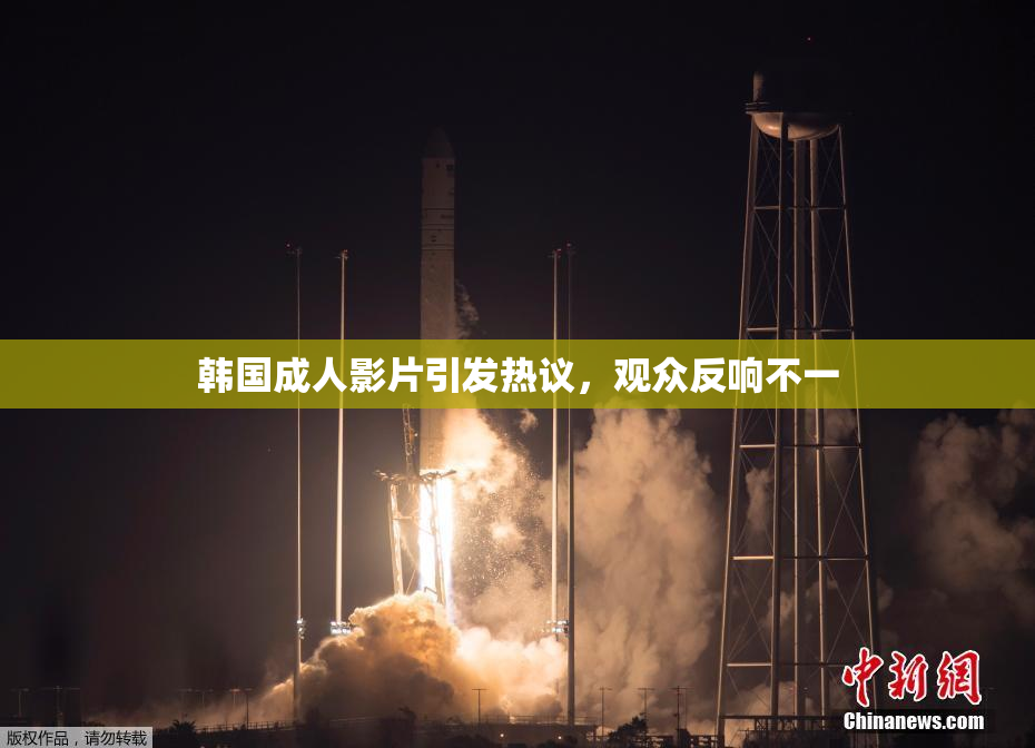 韩国成人影片引发热议，观众反响不一