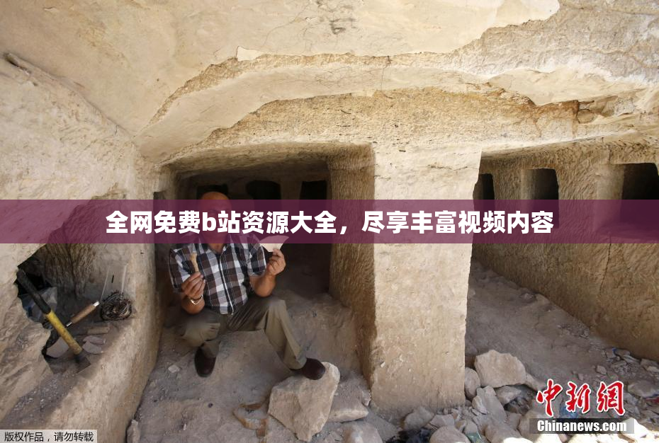 全网免费b站资源大全，尽享丰富视频内容