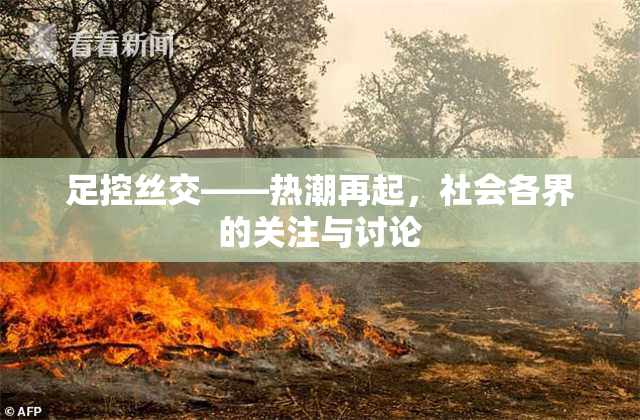 足控丝交——热潮再起，社会各界的关注与讨论