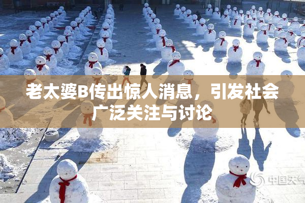 老太婆B传出惊人消息，引发社会广泛关注与讨论