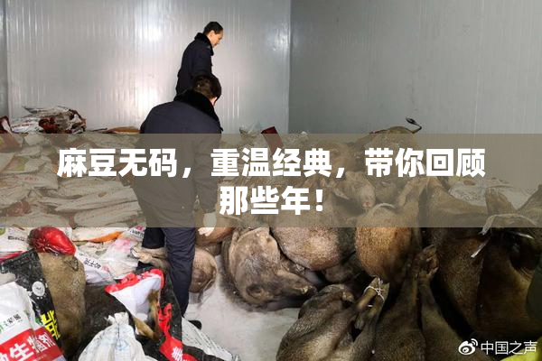 麻豆无码，重温经典，带你回顾那些年！