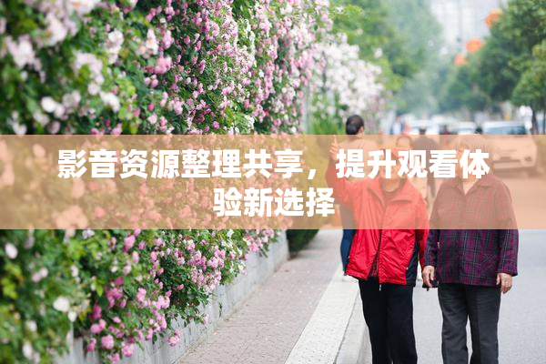 影音资源整理共享，提升观看体验新选择