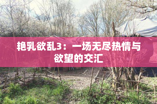 艳乳欲乱3：一场无尽热情与欲望的交汇