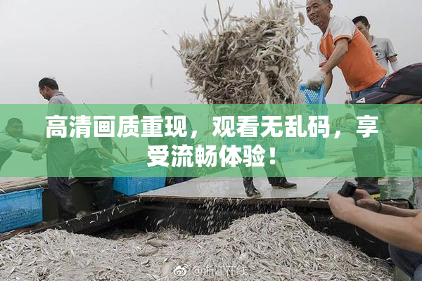 高清画质重现，观看无乱码，享受流畅体验！