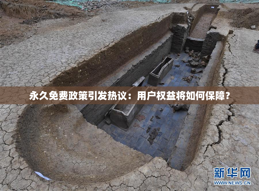 永久免费政策引发热议：用户权益将如何保障？