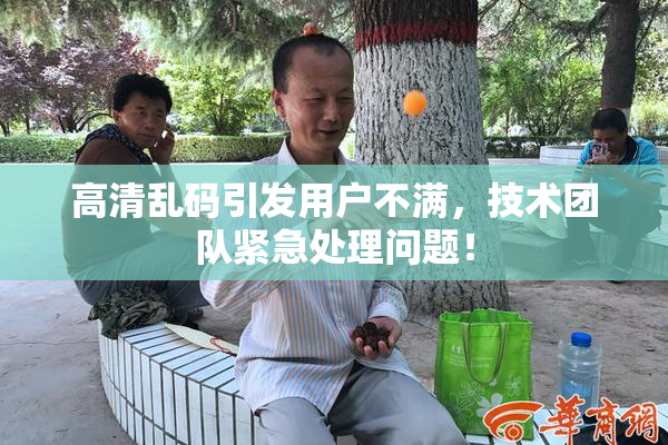 高清乱码引发用户不满，技术团队紧急处理问题！