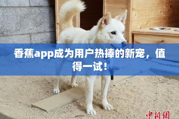 香蕉app成为用户热捧的新宠，值得一试！