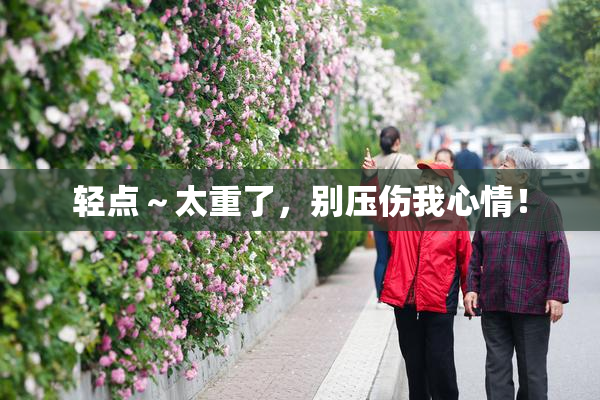 轻点～太重了，别压伤我心情！