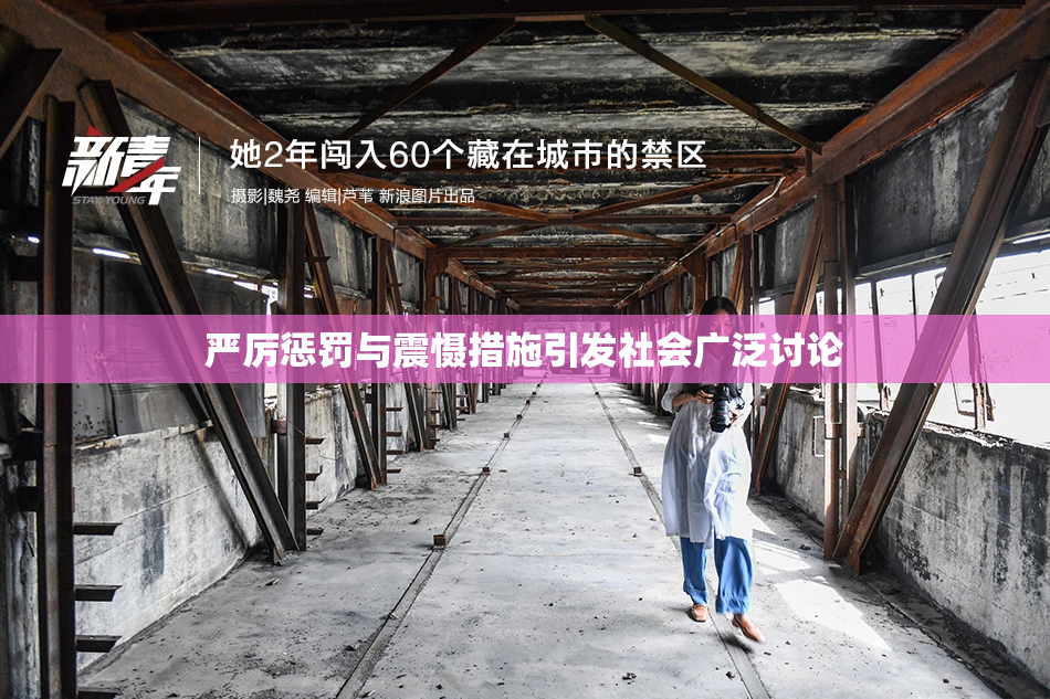 严厉惩罚与震慑措施引发社会广泛讨论