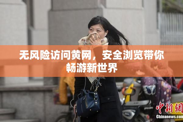 无风险访问黄网，安全浏览带你畅游新世界