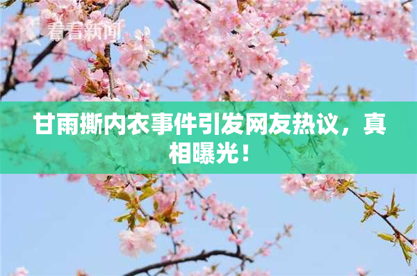 甘雨撕内衣事件引发网友热议，真相曝光！