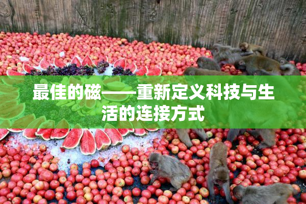 最佳的磁——重新定义科技与生活的连接方式
