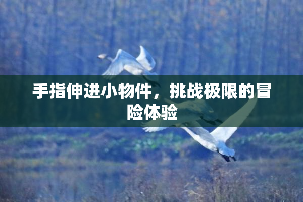 手指伸进小物件，挑战极限的冒险体验