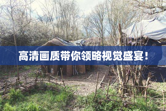 高清画质带你领略视觉盛宴！