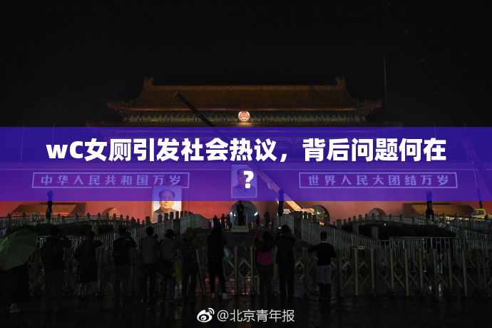 wC女厕引发社会热议，背后问题何在？