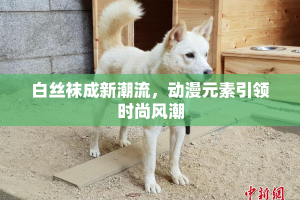白丝袜成新潮流，动漫元素引领时尚风潮