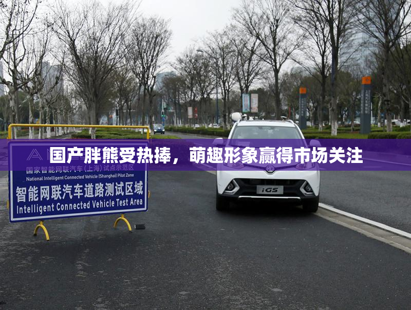 国产胖熊受热捧，萌趣形象赢得市场关注
