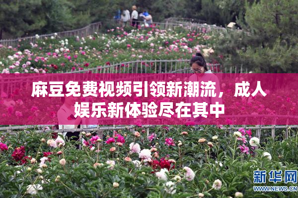 麻豆免费视频引领新潮流，成人娱乐新体验尽在其中