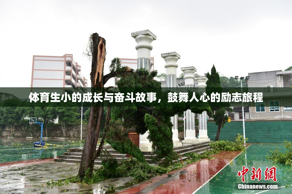 体育生小的成长与奋斗故事，鼓舞人心的励志旅程