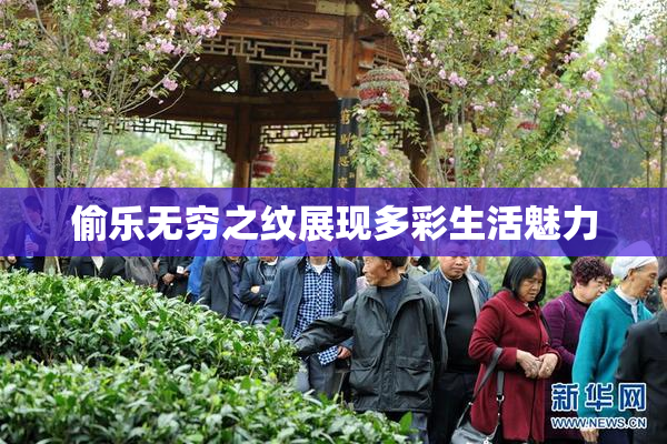 偷乐无穷之纹展现多彩生活魅力
