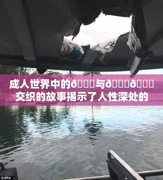 成人世界中的🍆与🍑🔞交织的故事揭示了人性深处的秘密
