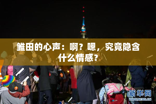 雏田的心声：啊？嗯，究竟隐含什么情感？