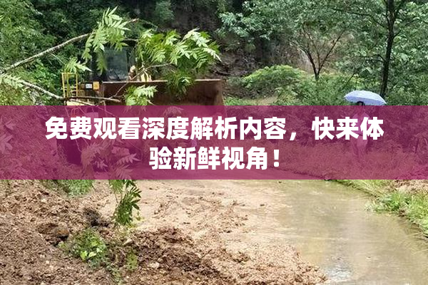 免费观看深度解析内容，快来体验新鲜视角！
