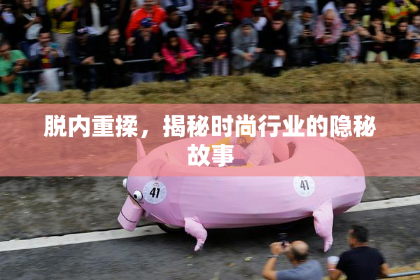 脱内重揉，揭秘时尚行业的隐秘故事