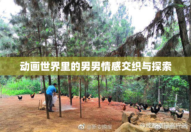 动画世界里的男男情感交织与探索