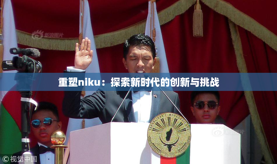 重塑niku：探索新时代的创新与挑战