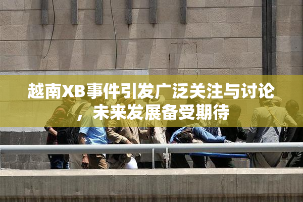 越南XB事件引发广泛关注与讨论，未来发展备受期待