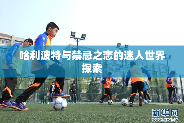 哈利波特与禁忌之恋的迷人世界探索