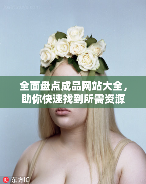 全面盘点成品网站大全，助你快速找到所需资源