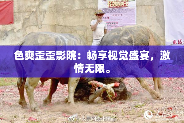 色爽歪歪影院：畅享视觉盛宴，激情无限。